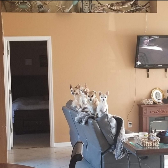 All reasonable offers considered. - Picture 5 of 6